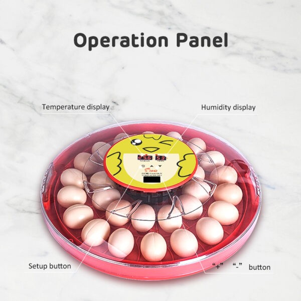Modern Red S30 Egg Incubator With Digital Control Panle